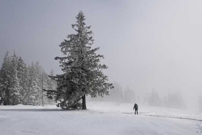 Rogla Lovrenška jezera sneg | Foto: Matej Podgoršek