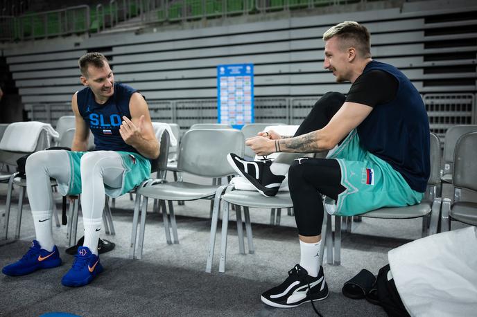 slovenska košarkarska reprezentanca trening Zoran Dragić Gregor Hrovat | Gregor Hrovat ima težave z vnetim grlom. | Foto Vid Ponikvar/Sportida