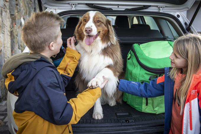 Družinska smučarska odprava zahteva temeljite priprave − veliko načrtovanja, dober seznam opreme, skrbno pakiranje, včasih pa tudi pomoč štirinožnih prijateljev. | Foto: Ana Kovač