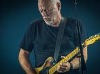 David Gilmour