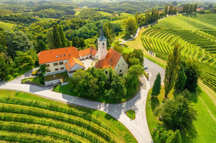 vinogradi, Štajerska | Foto Shutterstock