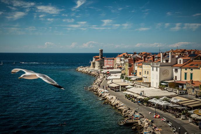 Piran | Plavalna trasa mega triatlona obkroži tudi piranski rt. | Foto Vid Ponikvar