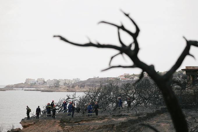 Grčija, Atene, požar | Foto: Reuters