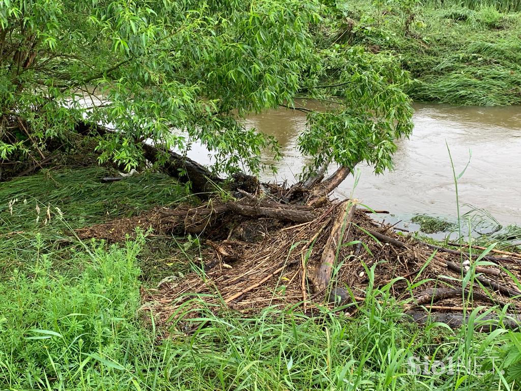 Slovenska Bistrica poplave njive