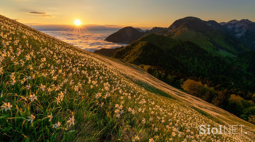 Aleš Krivec, fotografije, Slovenija