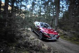 Mercedes-Benz E All-Terrain - gozd