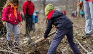 Slovenski gozdovi spet dihajo: dobili so 42 tisoč novih dreves