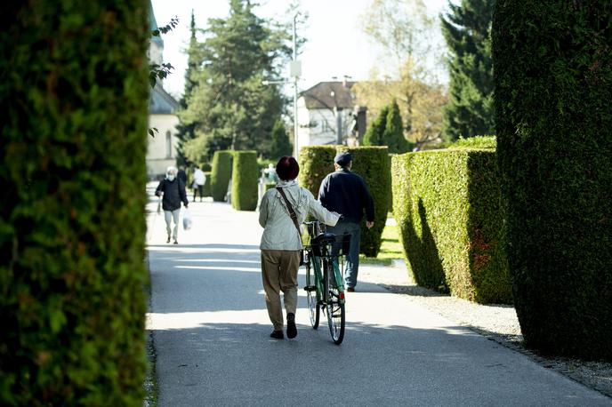 Pokopališče Žale |  V Žalah načrtujejo, da bodo leto zaključili s čistim dobičkom v višini 60.500 evrov, v LPT pa letos načrtujejo 259.300 evrov čistega dobička. | Foto Ana Kovač