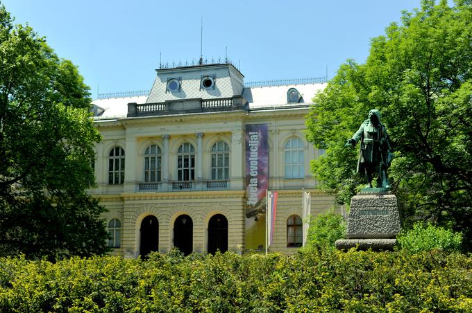 Ena po izkupičku najuspešnejših dražb umetnin v zadnjem času je potekala v Narodnem muzeju. | Foto: STA ,