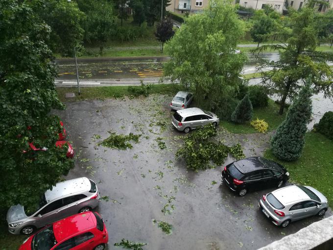 Takšne posledice je za seboj pustila nevihta na Ptuju. | Foto: Marko Rabuza