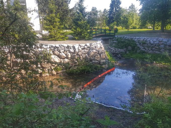 Danes so pivnike začeli odstranjevati, saj se je mehansko onesnaženje potoka zmanjšalo. | Foto: Andreja Lončar