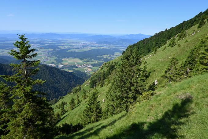 Prečno prek strmih travnatih pobočij Cjanovce | Foto: Matej Podgoršek