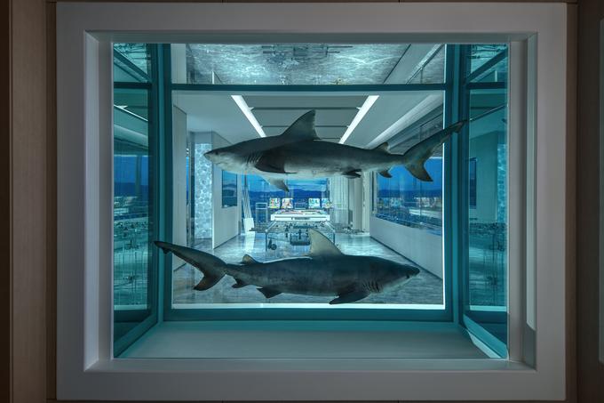 Empathy Suite, Damien Hirst | Foto: Cover Images