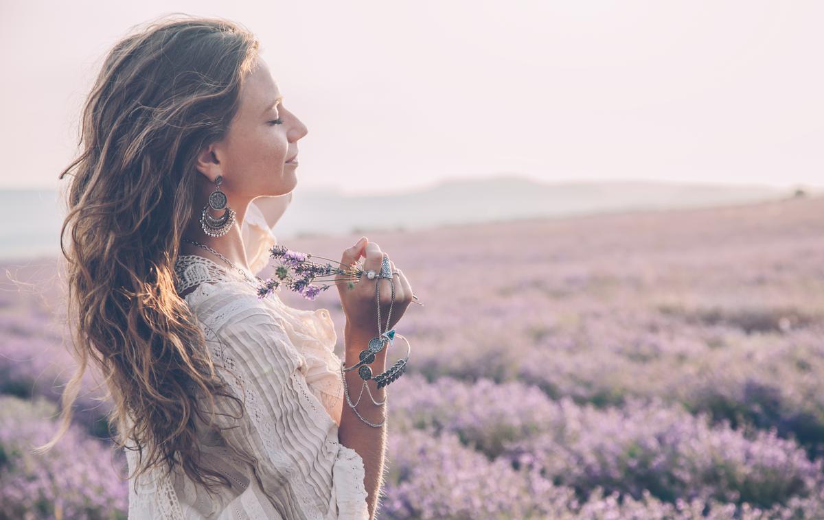 poletje, sivka, lavanda | Foto Shutterstock