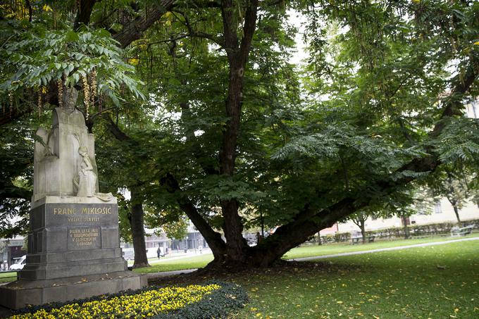 Spomenik jezikoslovcu in filologu Francu Miklošiču | Foto: Ana Kovač