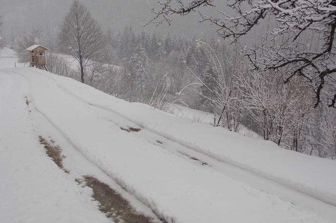 sneženje | Sneženje bo sorazmerno kratkotrajno, a marsikje nenavadno izrazito, napovedujejo na agenciji za okolje.  | Foto Bralec Maksimiljan