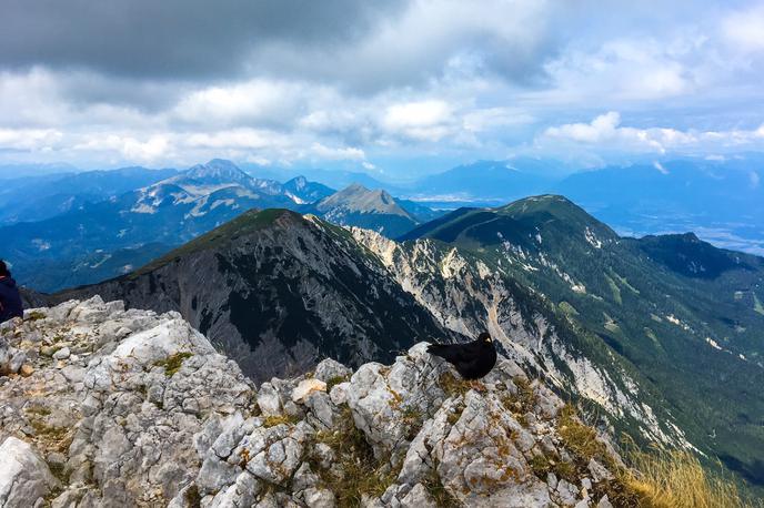 Stol | Stol je z 2236 metri najvišji vrh Karavank. Vzpon nanj vam bo vzel približno tri ure. | Foto Špela Lenart