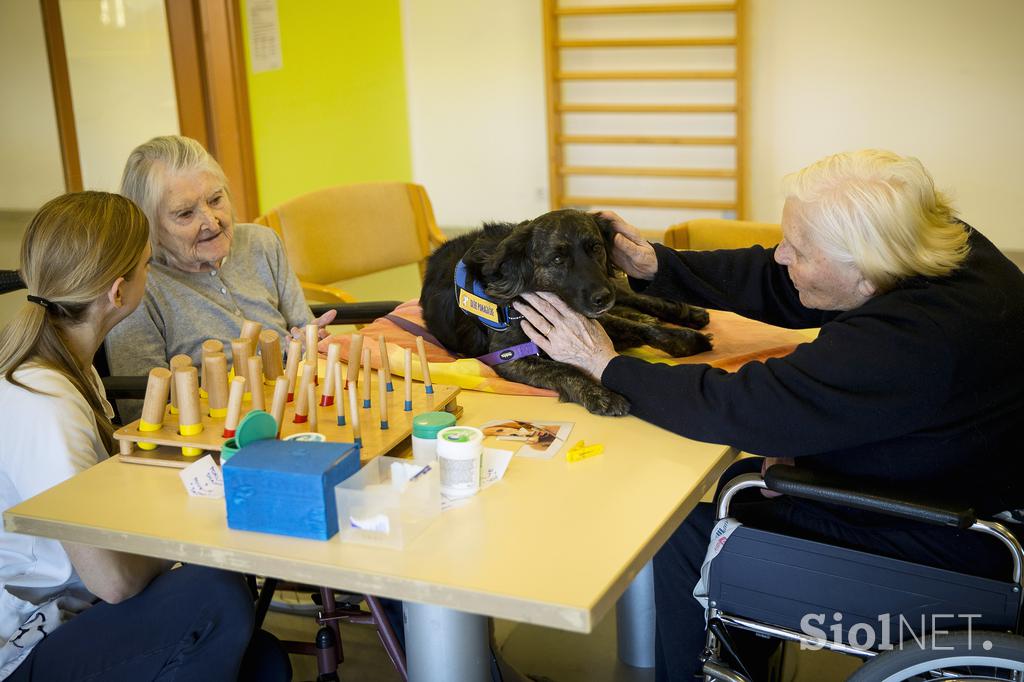 Center starejših Medvode dom za starejše starejši