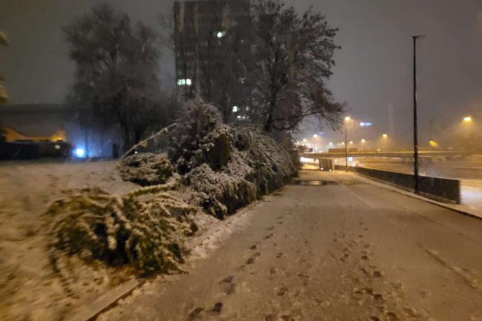 sneg, Ljubljana |  Sneženje se je spustilo do nižini, zajelo je tudi prestolnico. | Foto Mojca Zorko/STA