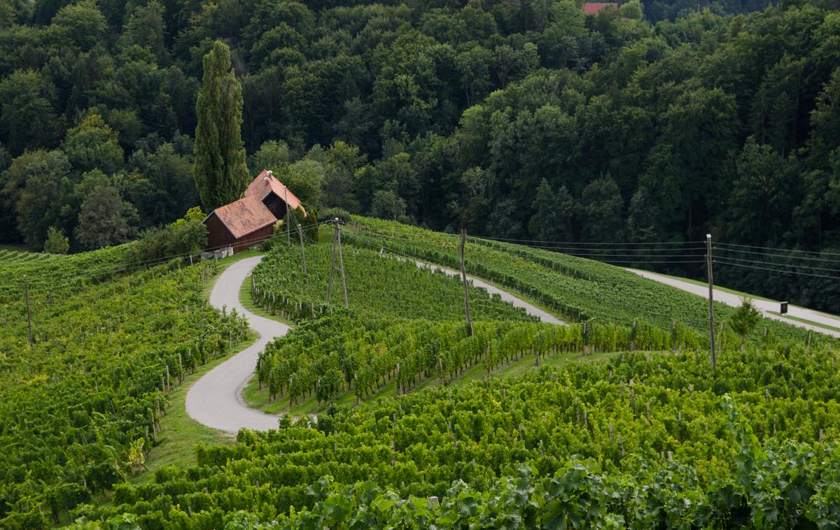 Turistična kmetija Dreisiebner, Srce med vinogradi, Špičnik | Foto Matjaž Vertuš