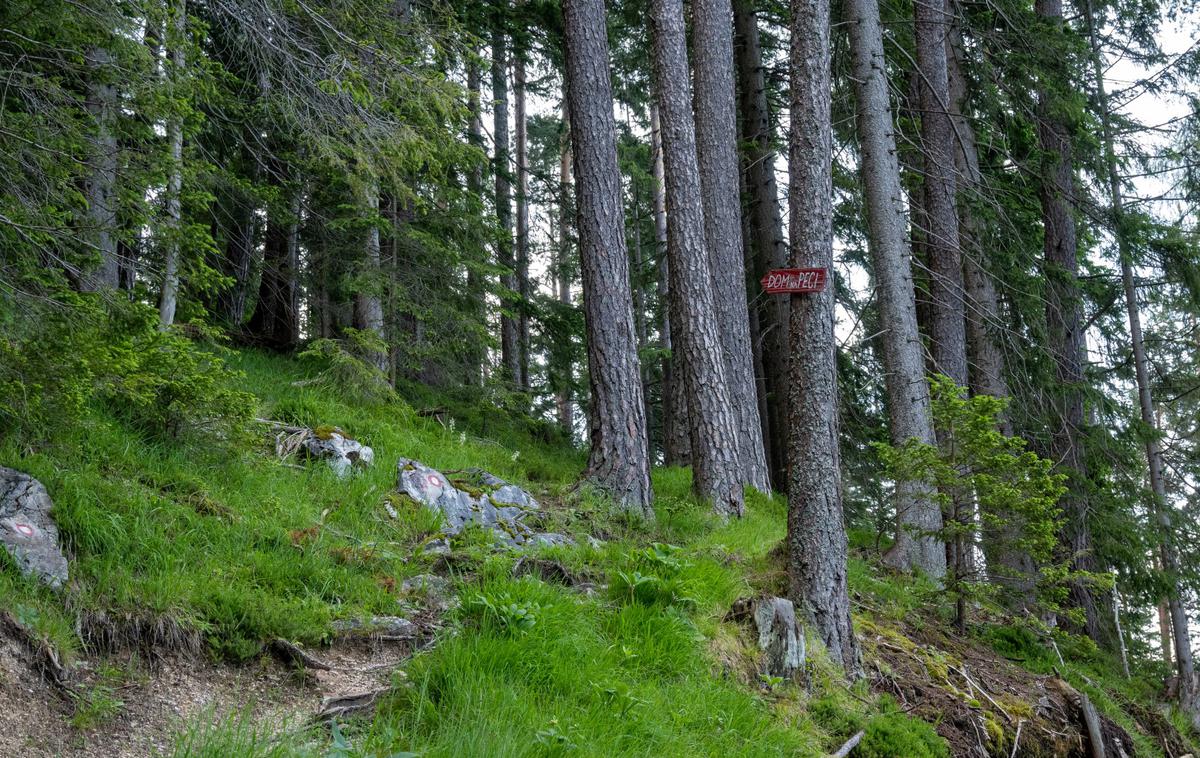 Peca | Med šestimi potmi v izboru je tudi pod iz Tople na Peco. | Foto Matej Podgoršek