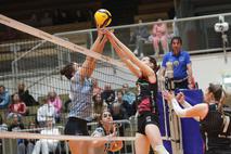 Otp banka branik maribor : calcit volley