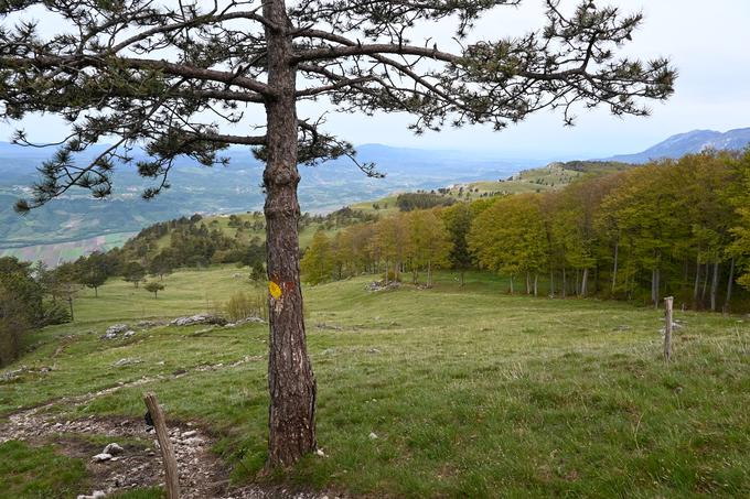 S Kovka se pot nekoliko spusti in nadaljuje po robu nad Ajdovščino. | Foto: Matej Podgoršek