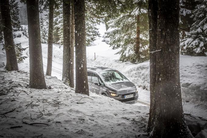 Citroën, biatlon, Pokljuka | Foto: Bojan Puhek