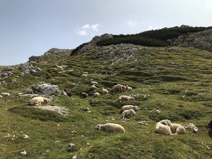 Odkrivaj Slovenijo | Foto: 