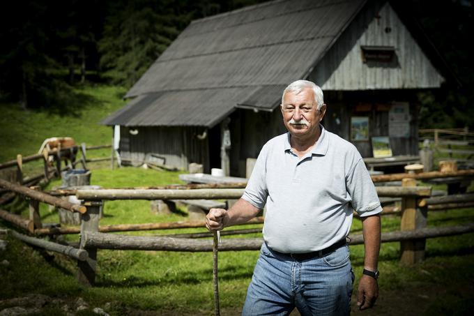 Nekdanji kolesar Jože Valenčič se je na stara leta vrnil h koreninam. Živino je pasel že kot otrok in to počne tudi kot upokojenec. | Foto: Ana Kovač