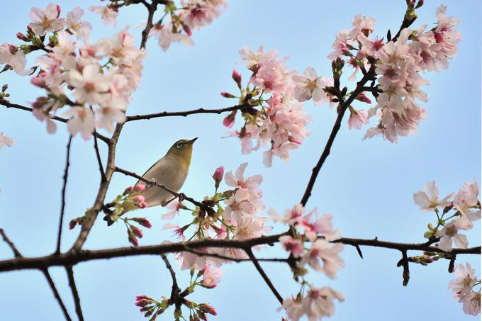 letni čas, zima, pomlad, poletje, jesen | Foto: Thinkstock