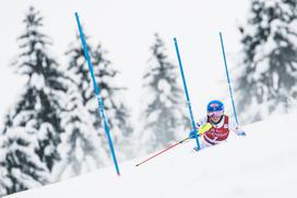 Zlata lisica, slalom