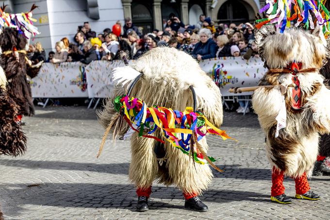 Po ptujskih ulicah so zvonili z zvonci in plesali.  | Foto: Ana Kovač