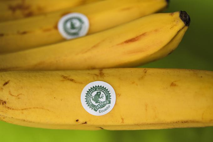 Organizacija Rainforest Alliance z Billom Gatesom in drugo globalno elito morda res ne snuje iztrebljenja človeštva z bananami in kakavom, je bila pa v zadnjem desetletju večkrat tarča kritik zaradi domnevnega kršenja pravic delavcev na pridelovalnih površinah, ki imajo certifikat Rainforest Alliance. Organizaciji so kritiki med drugim očitali, da ne izvaja dovolj temeljitega nadzora nad delovnimi pogoji na plantažah čaja.  | Foto: Shutterstock