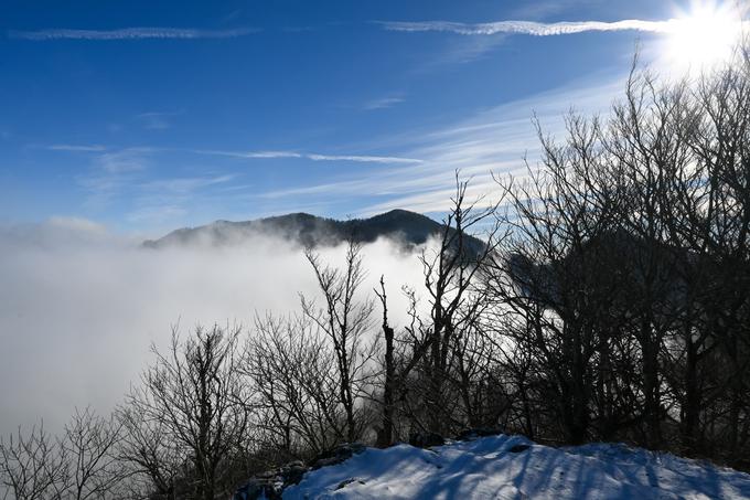 Pogled s Poldanovca v smeri jugovzhoda nad Trnovski gozd | Foto: Matej Podgoršek