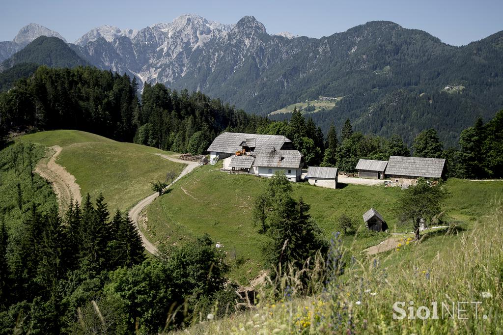 Izletniška kmetija Klemenšek Logarska dolina