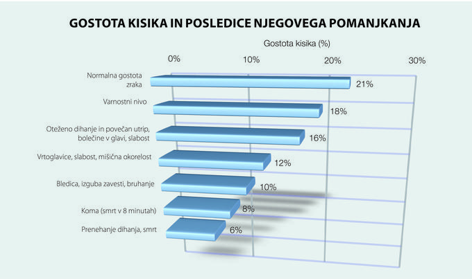 Vitanest | Foto: 