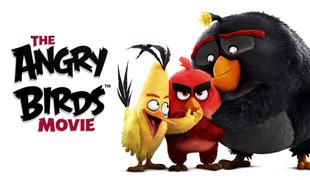 Angry Birds film (The Angry Birds Movie)