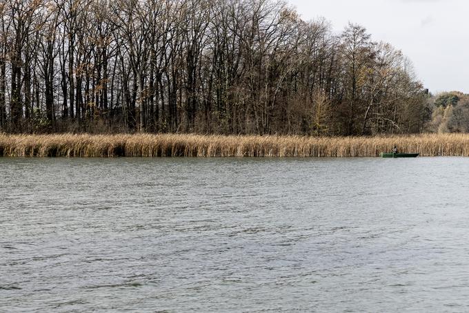 Kompleks je v osrčju neokrnjene narave.  | Foto: Ana Kovač