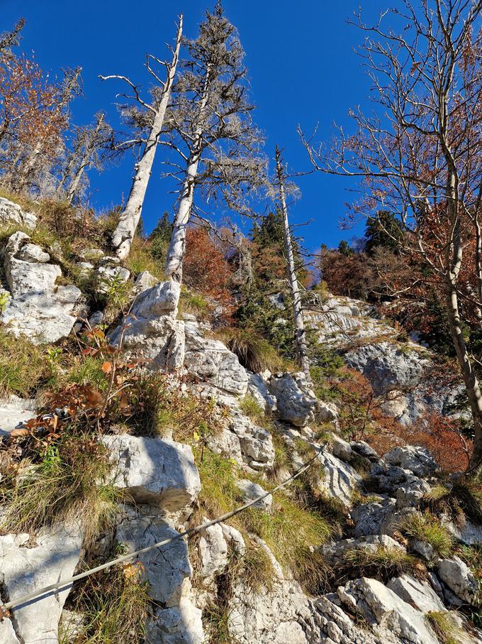 Vzpon čez Komarčo je varovan z jeklenicami in skobami. | Foto: Matej Podgoršek