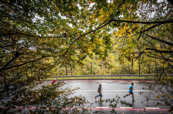 Ljubljanski maraton 2018 | Foto: Vid Ponikvar