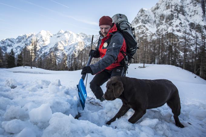 V veliko pomoč so gorskim reševalcem tudi reševalni psi.  | Foto: 