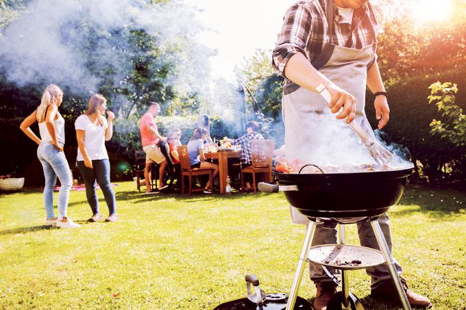 piknik, žar | Foto: Shutterstock