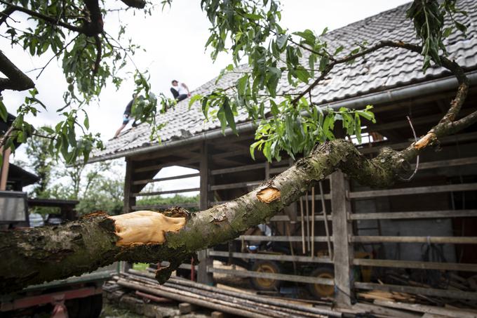 Posledice toče v Črnomlju, v Beli krajini. | Foto: Bojan Puhek