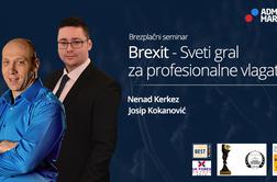 BREXIT – Sveti gral za profesionalne vlagatelje