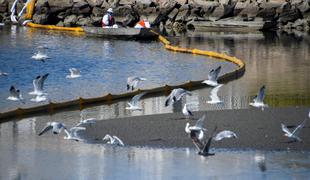 Sanjske plaže se spreminjajo v črno grožnjo #video #foto