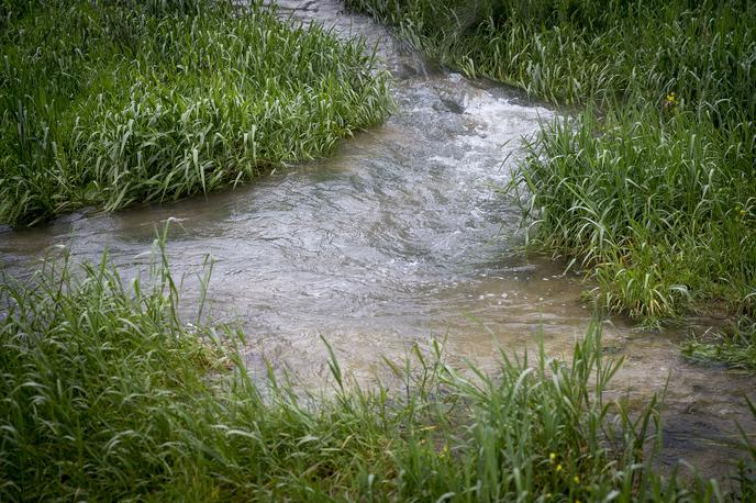 potok, onesnaževanje | Na tej lokaciji ob priljubljeni sprehajalni poti v Ljubljani strupenih cianobakterij do zdaj še nikoli niso zaznali. Na NIB sicer pravijo, da se lahko stanje hitro spreminja, predvsem ob nevihtah, ki so napovedane v teh poletnih dneh. | Foto Ana Kovač