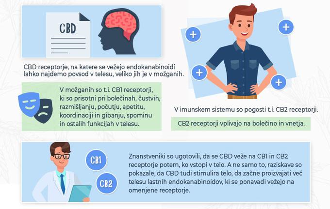 Endokanabinoidi in telesu podobni kanabinoid CBD se vežejo na t.i. receptorje, ki vplivajo na različne funkcije v telesu.  | Foto: 