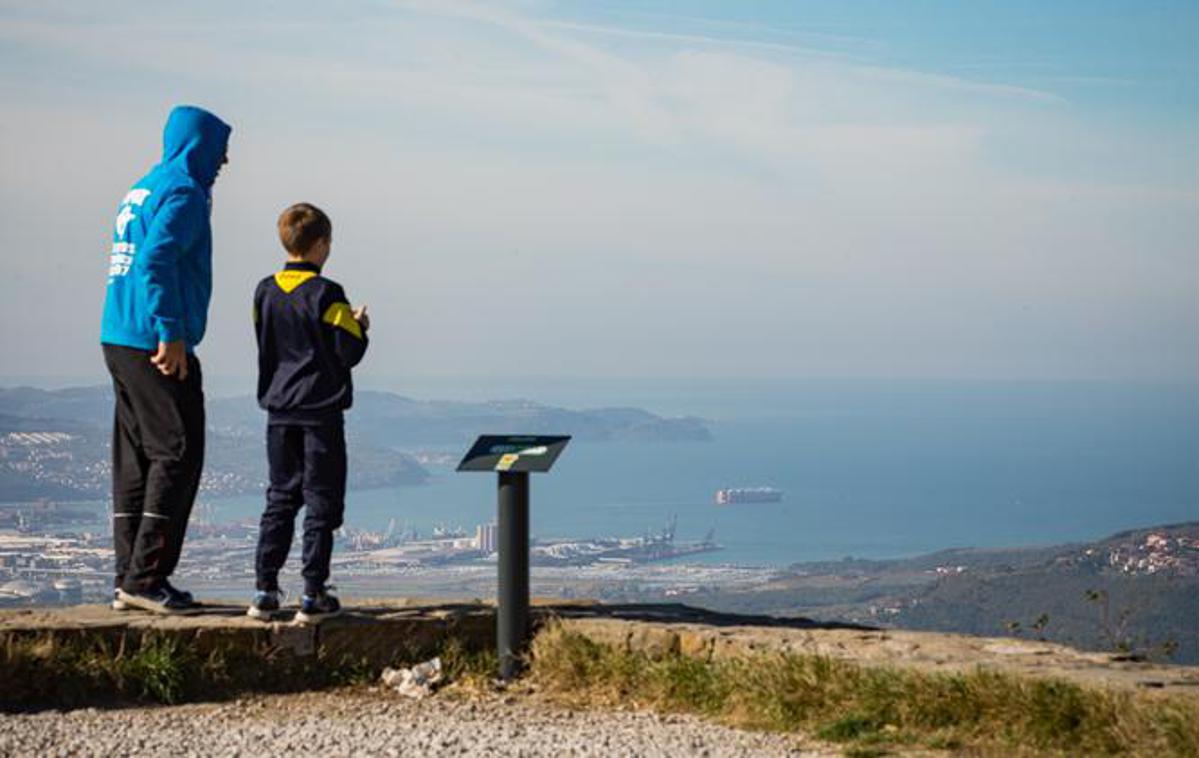 Tržaški zaliv | Foto Bor Slana