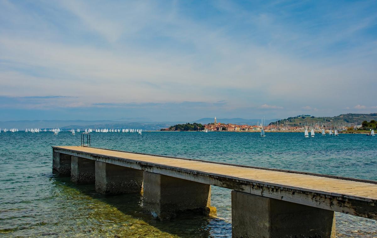 Izola, morje, pomol | Če se bo trend segrevanja morja nadaljeval, bo to po oceni raziskovalcev lahko pripeljalo do zelo hudih posledic na morskem dnu in do izgube pomembnega habitata.  | Foto Shutterstock